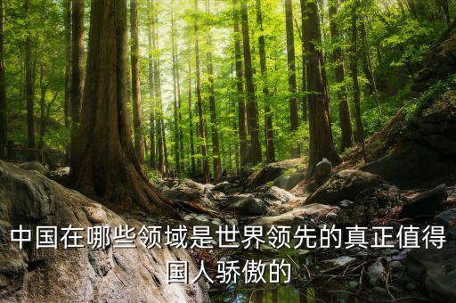 中國在全球領先的領域，中國在哪些領域是世界領先的真正值得國人驕傲的