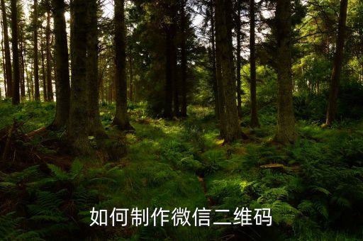微信專屬二維碼制作方法，如何制作微信二維碼
