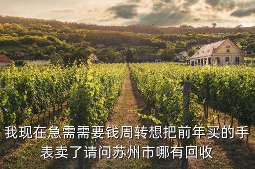 哪里回收二手手環(huán)，我現(xiàn)在急需需要錢周轉(zhuǎn)想把前年買的手表賣了請問蘇州市哪有回收