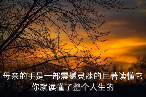 母親的手是一部震撼靈魂的巨著讀懂它你就讀懂了整個人生的