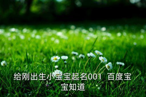 給剛出生小寶寶起名001  百度寶寶知道