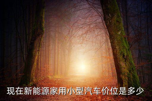 現(xiàn)在新能源家用小型汽車價位是多少
