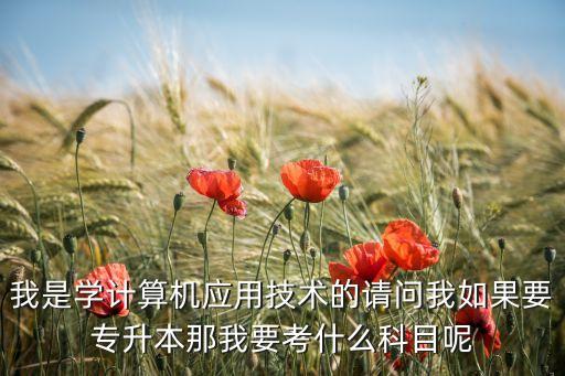 我是學(xué)計(jì)算機(jī)應(yīng)用技術(shù)的請問我如果要專升本那我要考什么科目呢