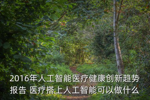 2016年人工智能醫(yī)療健康創(chuàng)新趨勢(shì)報(bào)告 醫(yī)療搭上人工智能可以做什么