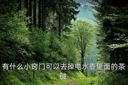 有什么小竅門可以去掉電水壺里面的茶堿