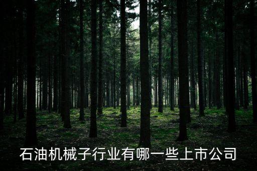 上市的機(jī)械制造企業(yè)，機(jī)械行業(yè)股票及上市公司有哪些