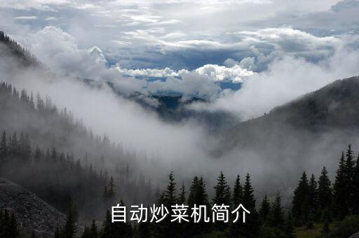 自動(dòng)炒菜機(jī)簡(jiǎn)介