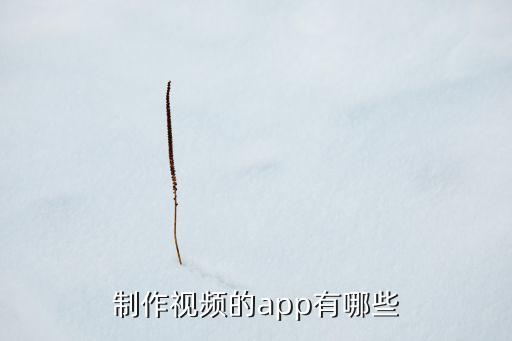 制作視頻的app有哪些