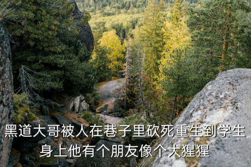 黑道大哥被人在巷子里砍死重生到學生身上他有個朋友像個大猩猩