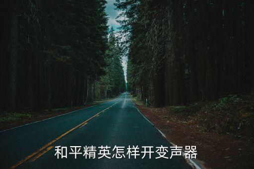 和平精英怎樣開變聲器