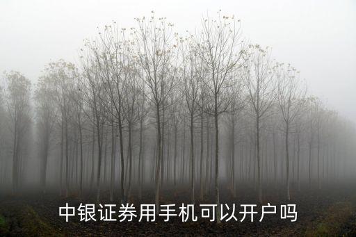 股票開(kāi)戶可以用手機(jī)直接開(kāi)嗎，炒股開(kāi)戶在手機(jī)上可以進(jìn)行嗎
