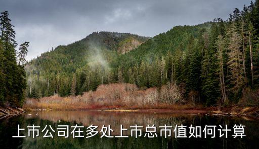 上市公司在多處上市總市值如何計(jì)算