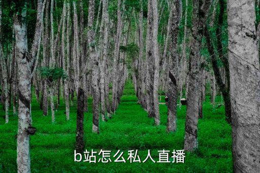 so米直播，sofm在哪里直播
