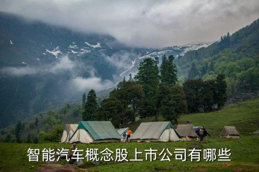 智能汽車概念股上市公司有哪些