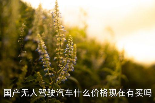 無人駕駛車有賣的嗎，國(guó)產(chǎn)無人駕駛汽車什么價(jià)格現(xiàn)在有買嗎