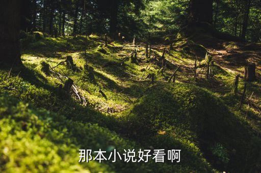 那本小說(shuō)好看啊