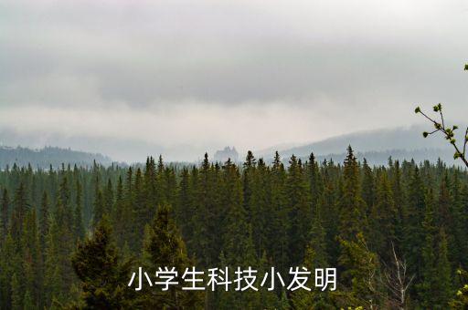 小學(xué)生科技小發(fā)明