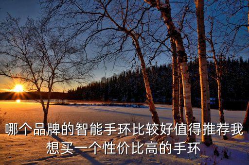 智能手環(huán)排行榜前十名2022，哪個品牌的智能手環(huán)比較好值得推薦我想買一個性價比高的手環(huán)