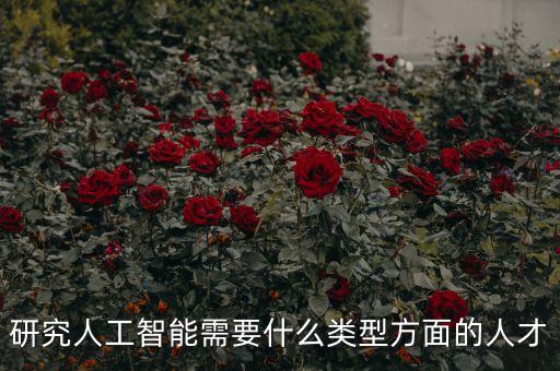 研究人工智能需要什么類型方面的人才