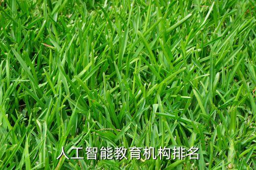 上海人工智能公司排名榜，上海 it 知名企業(yè)