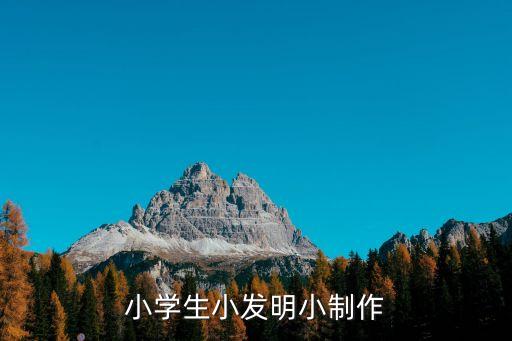 小學(xué)生小發(fā)明小制作