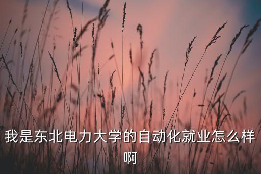 我是東北電力大學(xué)的自動(dòng)化就業(yè)怎么樣啊