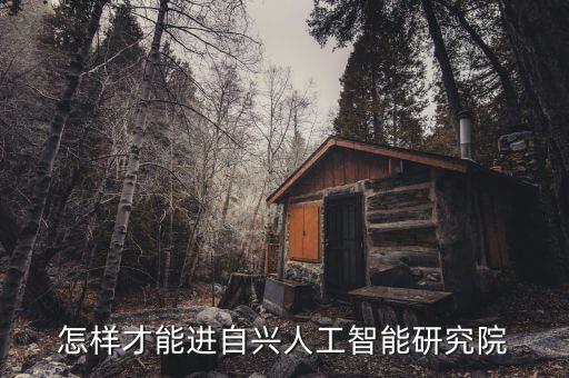怎樣才能進(jìn)自興人工智能研究院