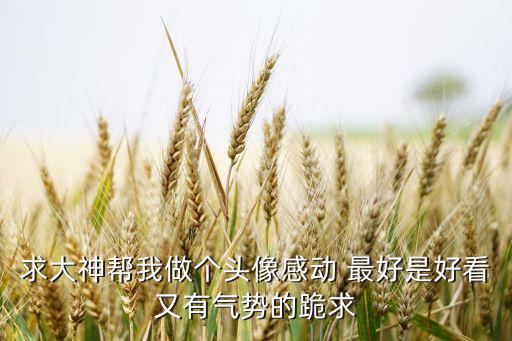 求大神幫我做個(gè)頭像感動(dòng) 最好是好看又有氣勢(shì)的跪求