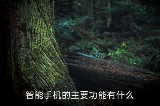 智能手機的主要功能有什么