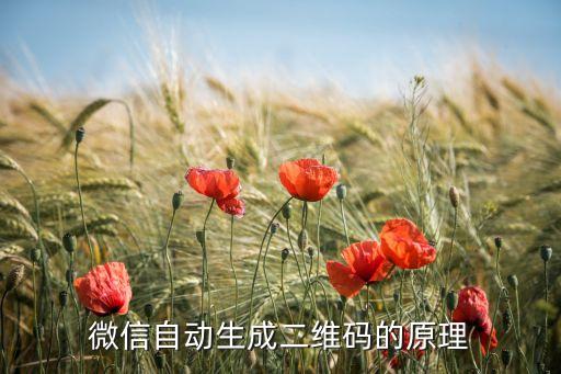 科技自動化微信二維碼怎么做的，微信自動生成二維碼的原理
