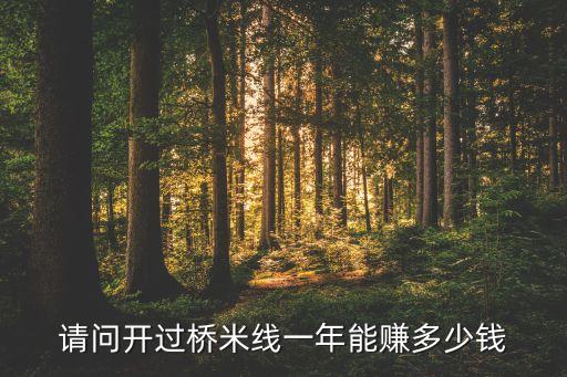 請問開過橋米線一年能賺多少錢