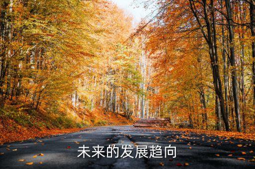 未來的發(fā)展趨向