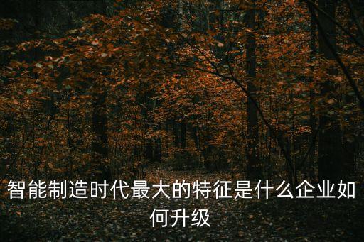 智能制造時代最大的特征是什么企業(yè)如何升級