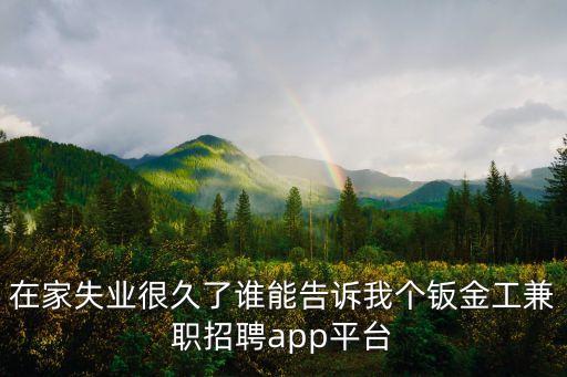 在家失業(yè)很久了誰能告訴我個鈑金工兼職招聘app平臺