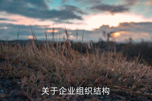 關(guān)于企業(yè)組織結(jié)構(gòu)