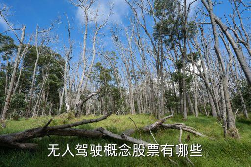 無(wú)人駕駛概念股票有哪些