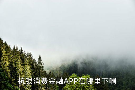 消費金融app，杭銀消費金融APP在哪里下啊
