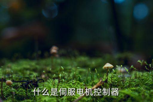 伺服控制器，伺服電機控制器驅動器