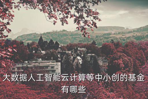 大數(shù)據(jù)人工智能云計算等中小創(chuàng)的基金有哪些