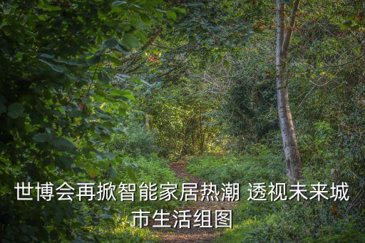 世博會再掀智能家居熱潮 透視未來城市生活組圖