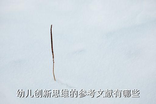 關(guān)于創(chuàng)新的參考文獻(xiàn)，企業(yè)管理創(chuàng)新論文的參考文獻(xiàn)有什么