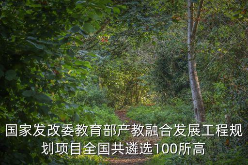 國家發(fā)改委教育部產教融合發(fā)展工程規(guī)劃項目全國共遴選100所高