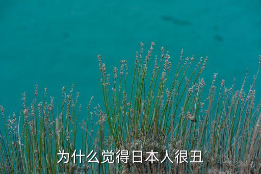 為什么覺得日本人很丑