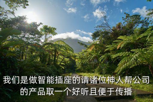 我們是做智能插座的請(qǐng)諸位神人幫公司的產(chǎn)品取一個(gè)好聽且便于傳播