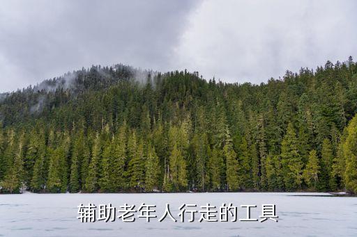 輔助老年人行走的工具