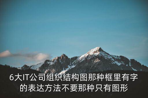 6大IT公司組織結(jié)構(gòu)圖那種框里有字的表達(dá)方法不要那種只有圖形