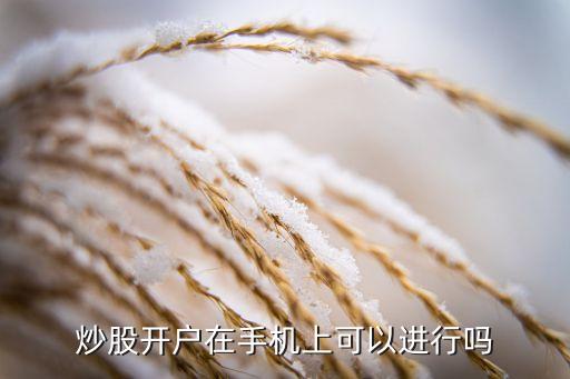 炒股開(kāi)戶在手機(jī)上可以進(jìn)行嗎