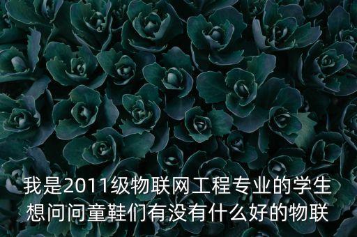 我是2011級物聯(lián)網(wǎng)工程專業(yè)的學(xué)生想問問童鞋們有沒有什么好的物聯(lián)