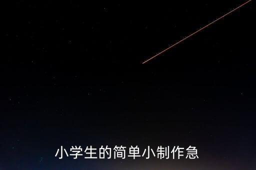 小學(xué)生的簡(jiǎn)單小制作急
