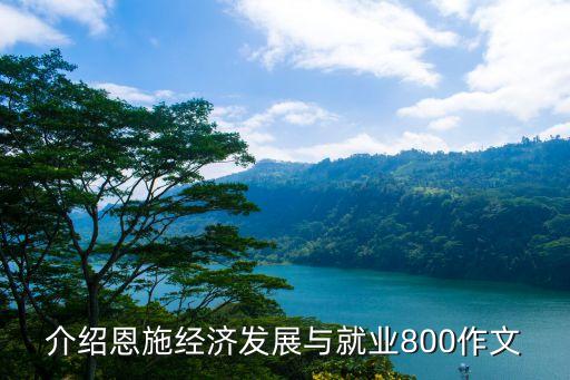 經(jīng)濟(jì)發(fā)展作文800字，介紹恩施經(jīng)濟(jì)發(fā)展與就業(yè)800作文